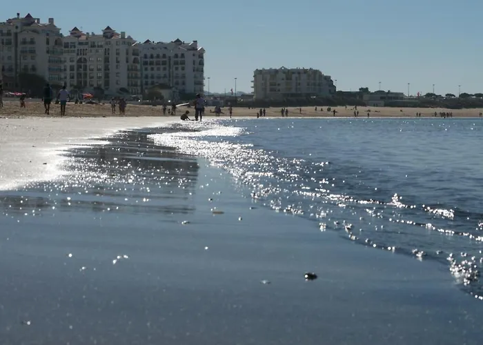 Apartament Prime Parque *